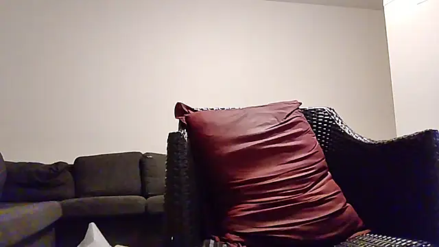 Tyyson03 webcam