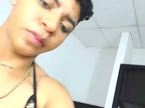 LianHalo webcam