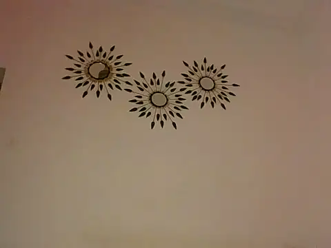 BrownieCXO webcam