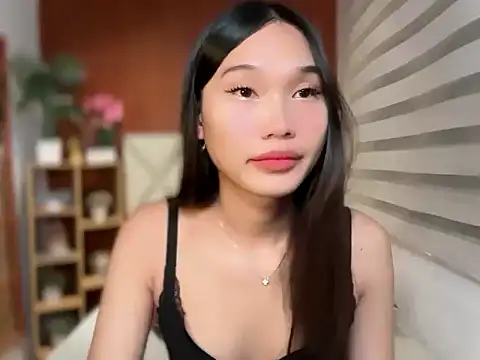 universal_cutie webcam