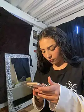 Aurora_fox00 webcam