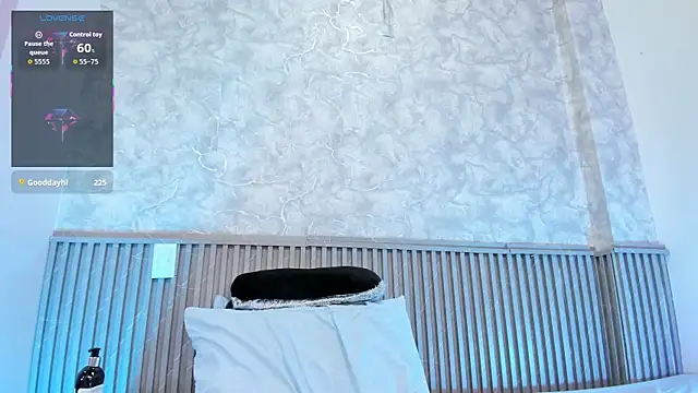 Reichel05_ webcam