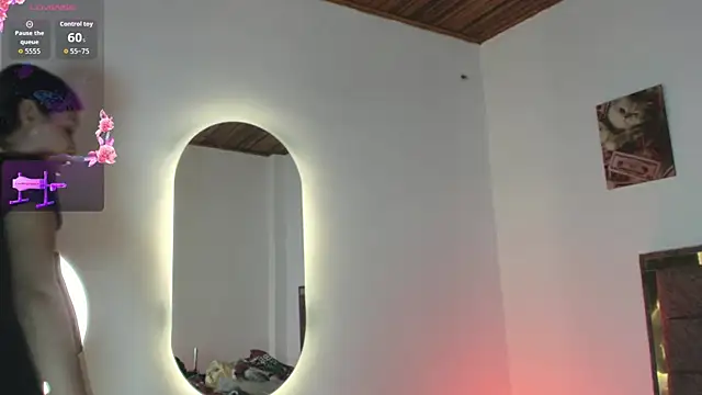 MiaX12 webcam