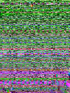 Amelia_laurent webcam