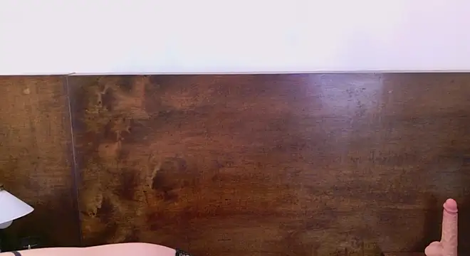 Shelly_bat webcam