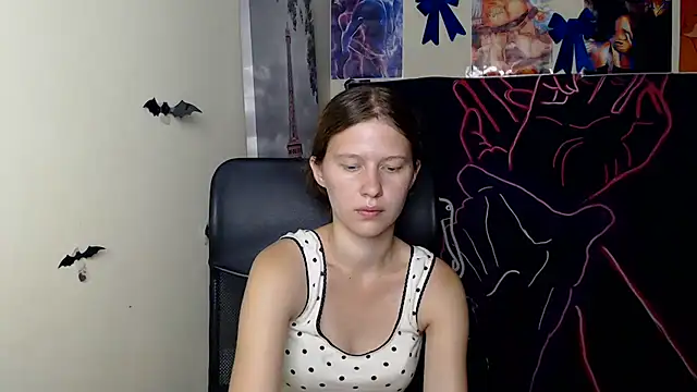 StellaCRL webcam