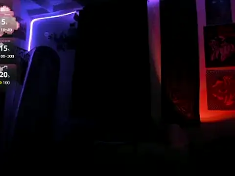 dante_sk webcam