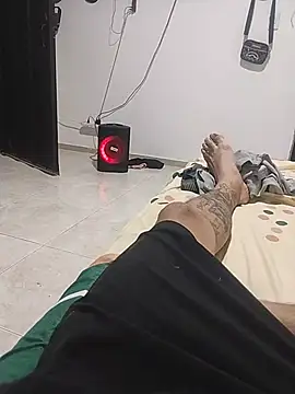 andrespalechor webcam
