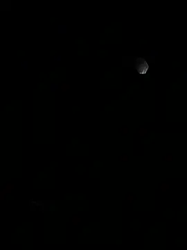 LeBimbo webcam