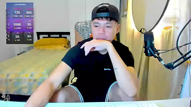 clarkdangerous webcam
