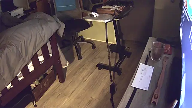 flasher15 webcam