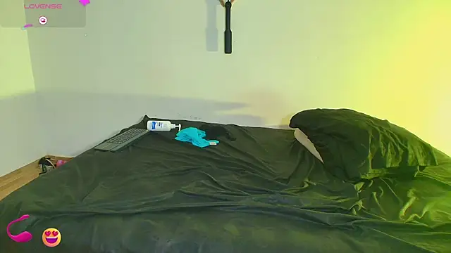 JeremmyAndStacy webcam