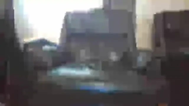 Lovyourpuss webcam