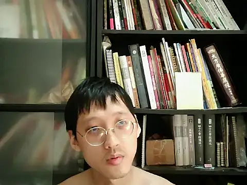 Lv8763 webcam