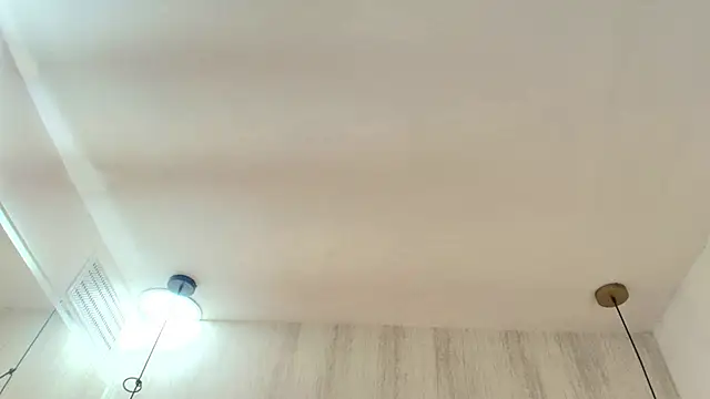 Iris_faster webcam