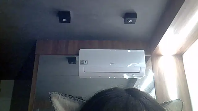 SkinnyKitten live cam on StripChat