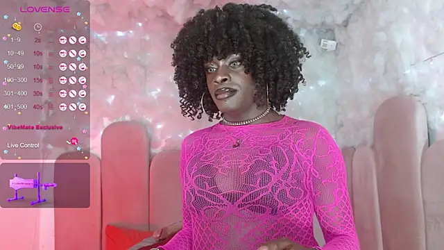 puca_ebony webcam