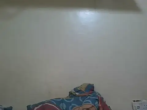 collily webcam