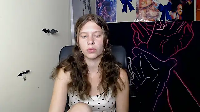 StellaCRL webcam