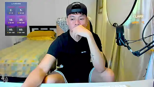 clarkdangerous webcam