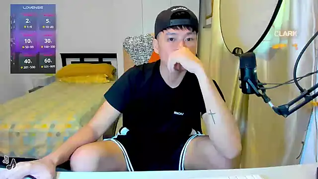 clarkdangerous webcam