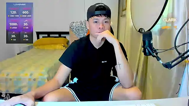 clarkdangerous webcam