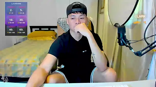clarkdangerous webcam