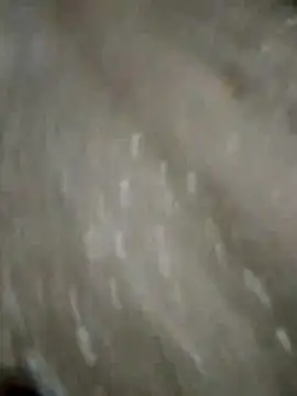 Jackdick1313