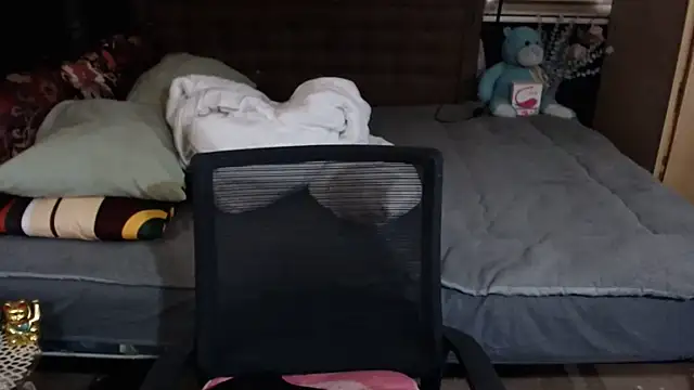 xheavenlytrans webcam