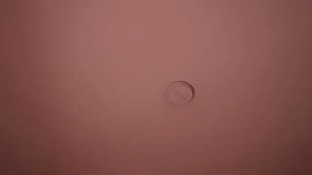 soidai_miiu (F young) - All Naked sexy my kitten 🥵💋