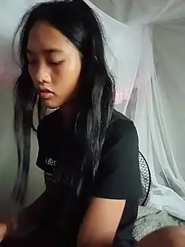 Hoa-tuylip
