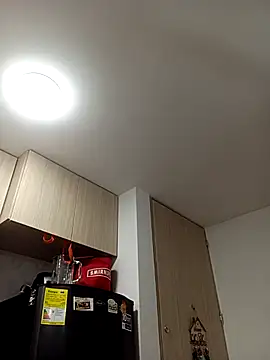 Ary- webcam