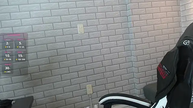 Carlos_brinez webcam