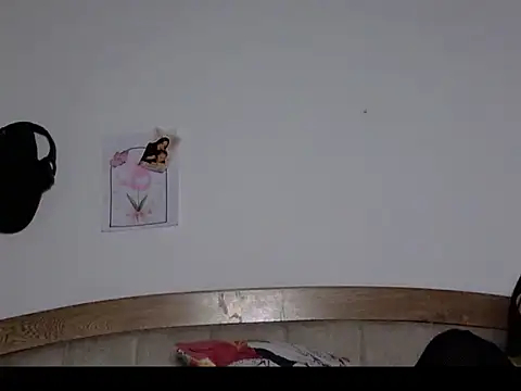 Angely_Ferrer webcam