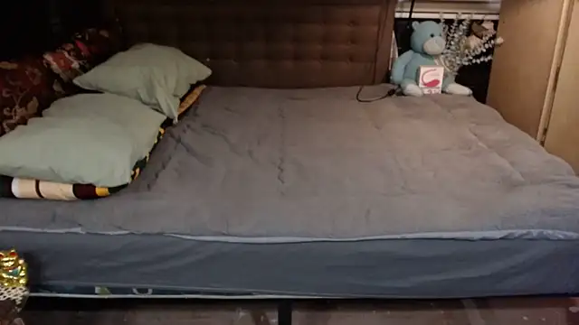 xheavenlytrans webcam