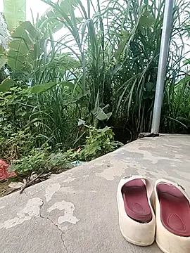 pitty_mymi webcam