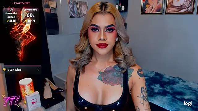 StellaStrong30 webcam