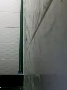 ArchivalLabourer webcam