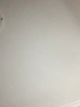 LexaBone webcam