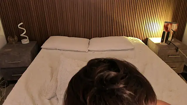 AndyWiilliams webcam