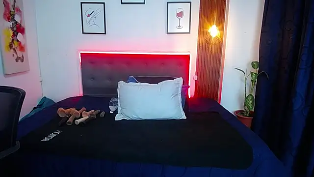 sasi_luna webcam