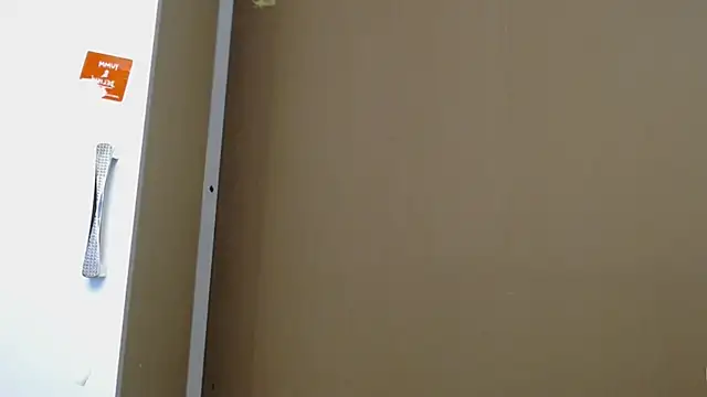traxexe webcam