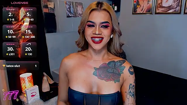 StellaStrong30 webcam