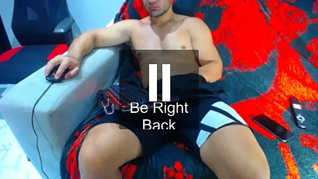 hugo_19cm webcam