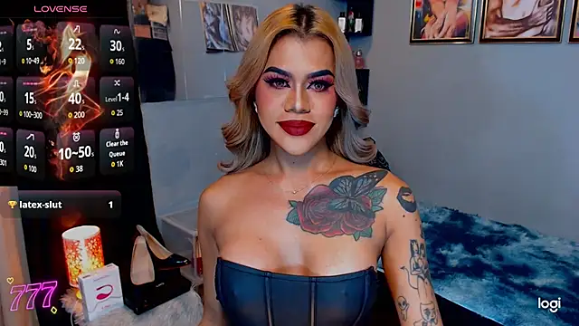 StellaStrong30 webcam