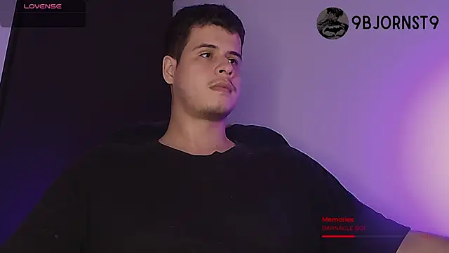 BjornSteel webcam
