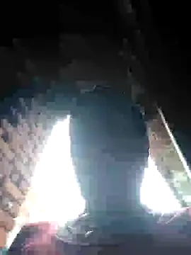 Loomaraj webcam