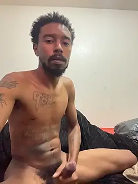 9blk webcam