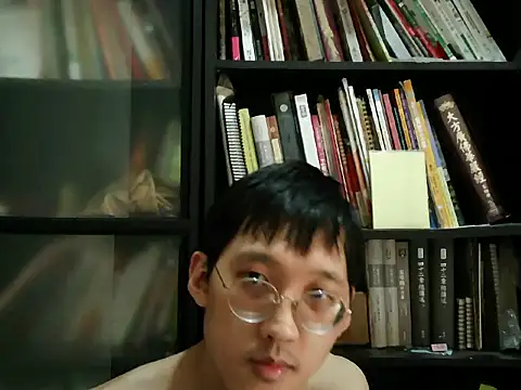 Lv8763 webcam