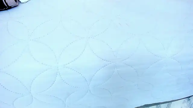 ariana_moon00 webcam